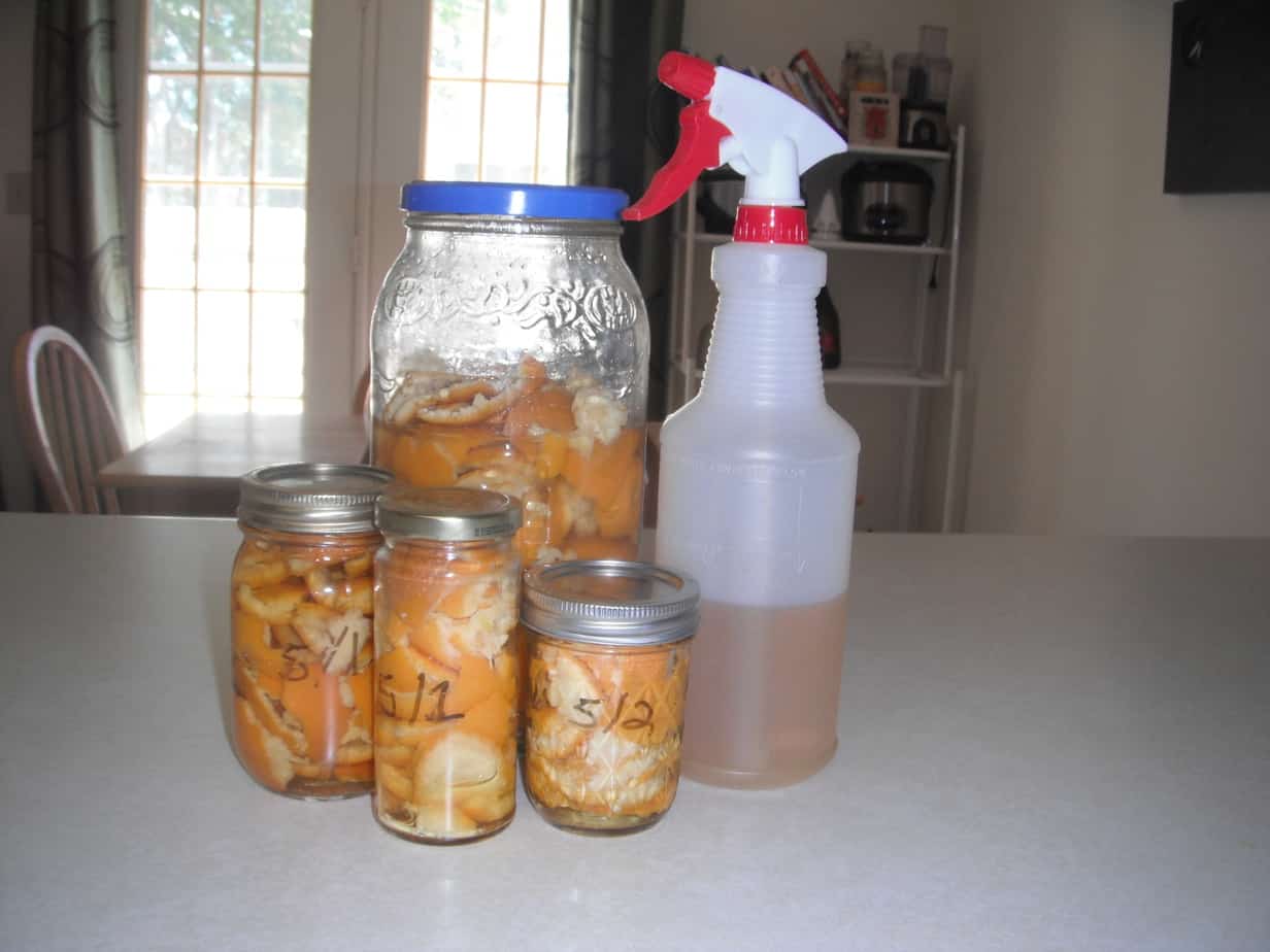 DIY Orange Chemical Free Cleaner!