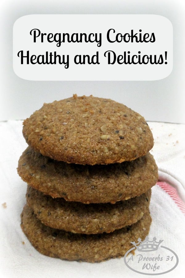 Pregnancy Recipe Healthy Cookies for You! Hello Sensible