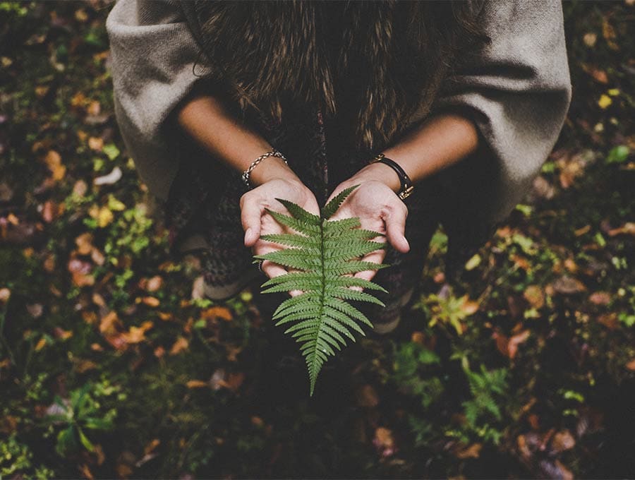 What Is Tencel Fabric Use And Care ⋆ Hello Sewing