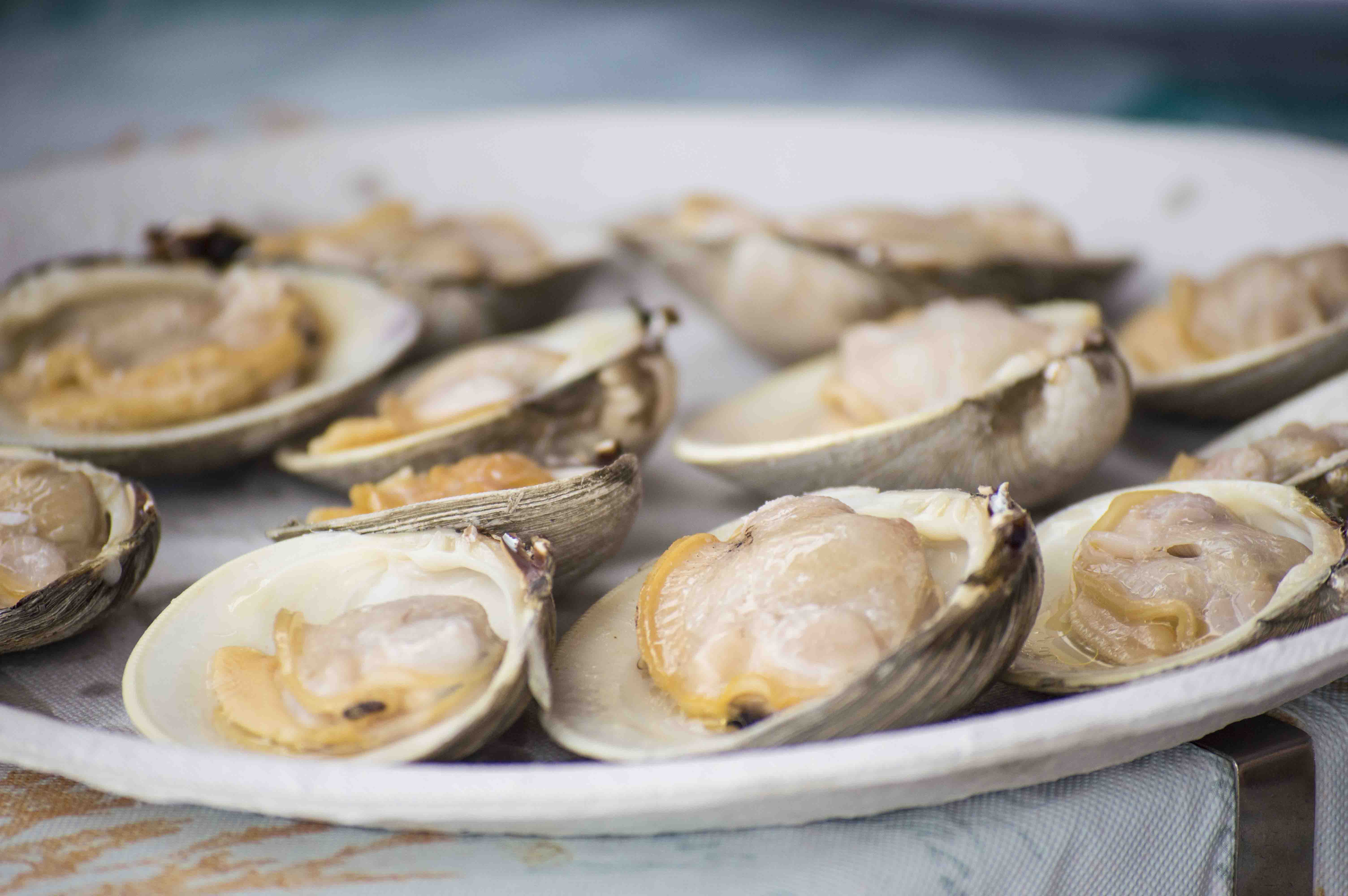 The Lobster Shack in Branford Hello, Shoreline!