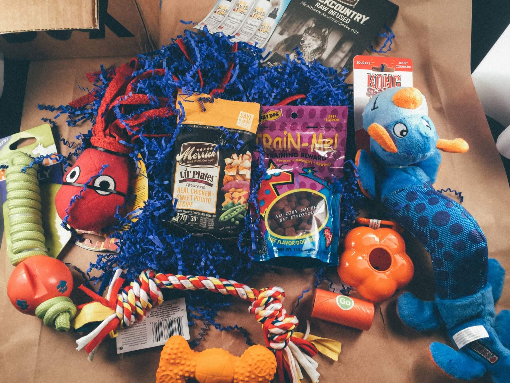 Buster Box Subscription Box Review + Coupon August 2016 Hello