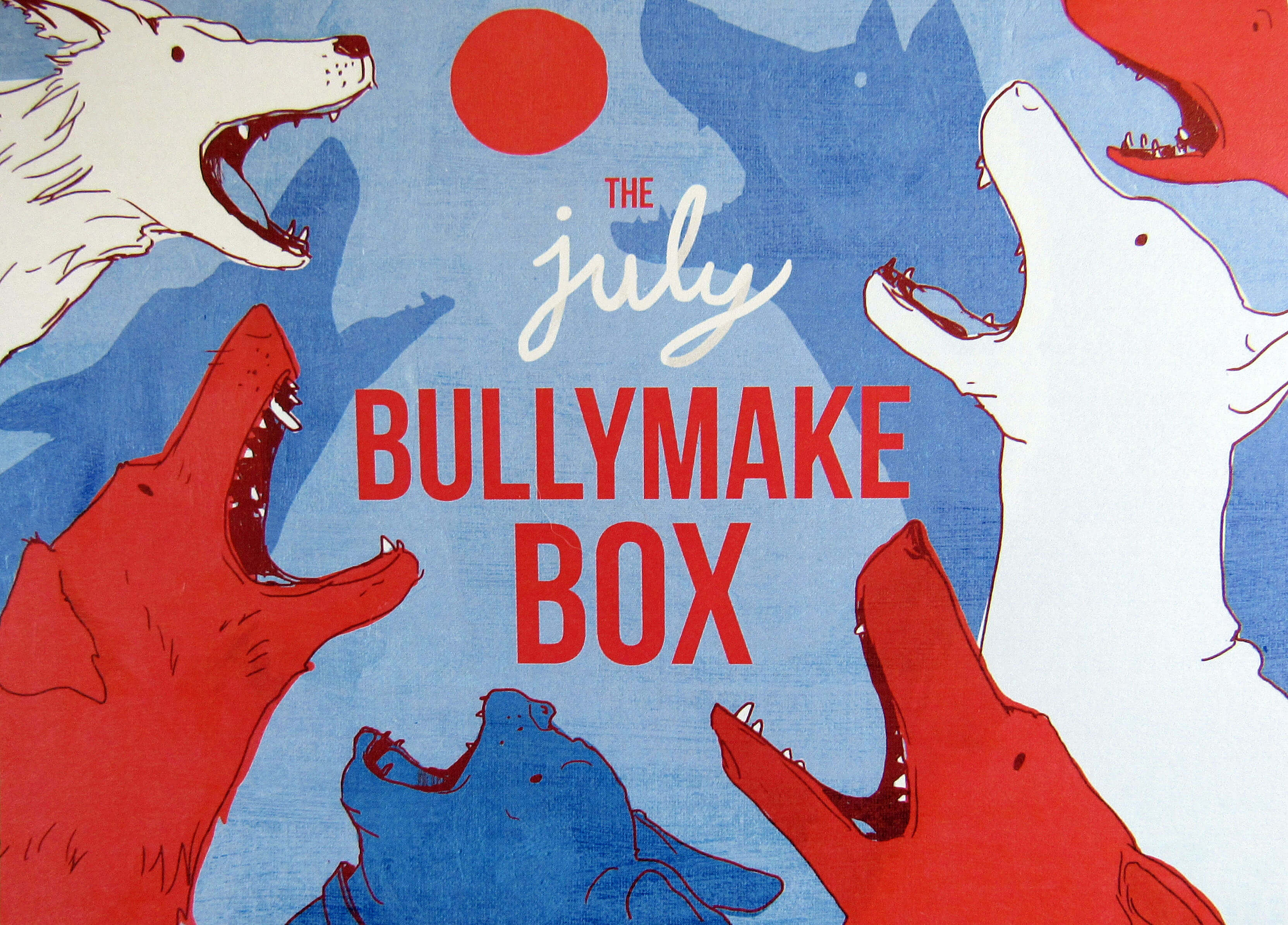 BullyMake Subscription Box Review + Coupon July 2016 Hello Subscription