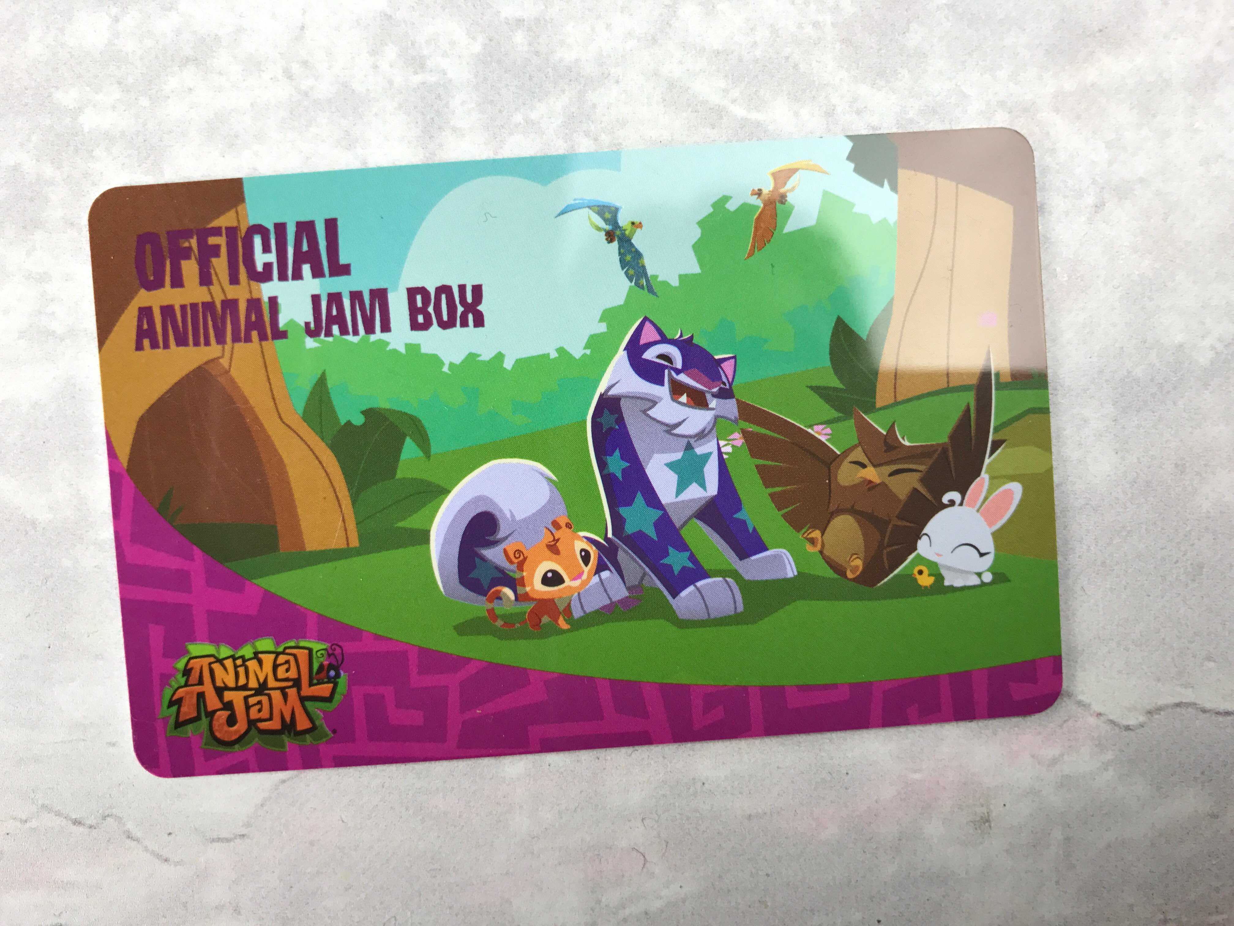 Animal Jam Box Review Winter 20162017 hello subscription