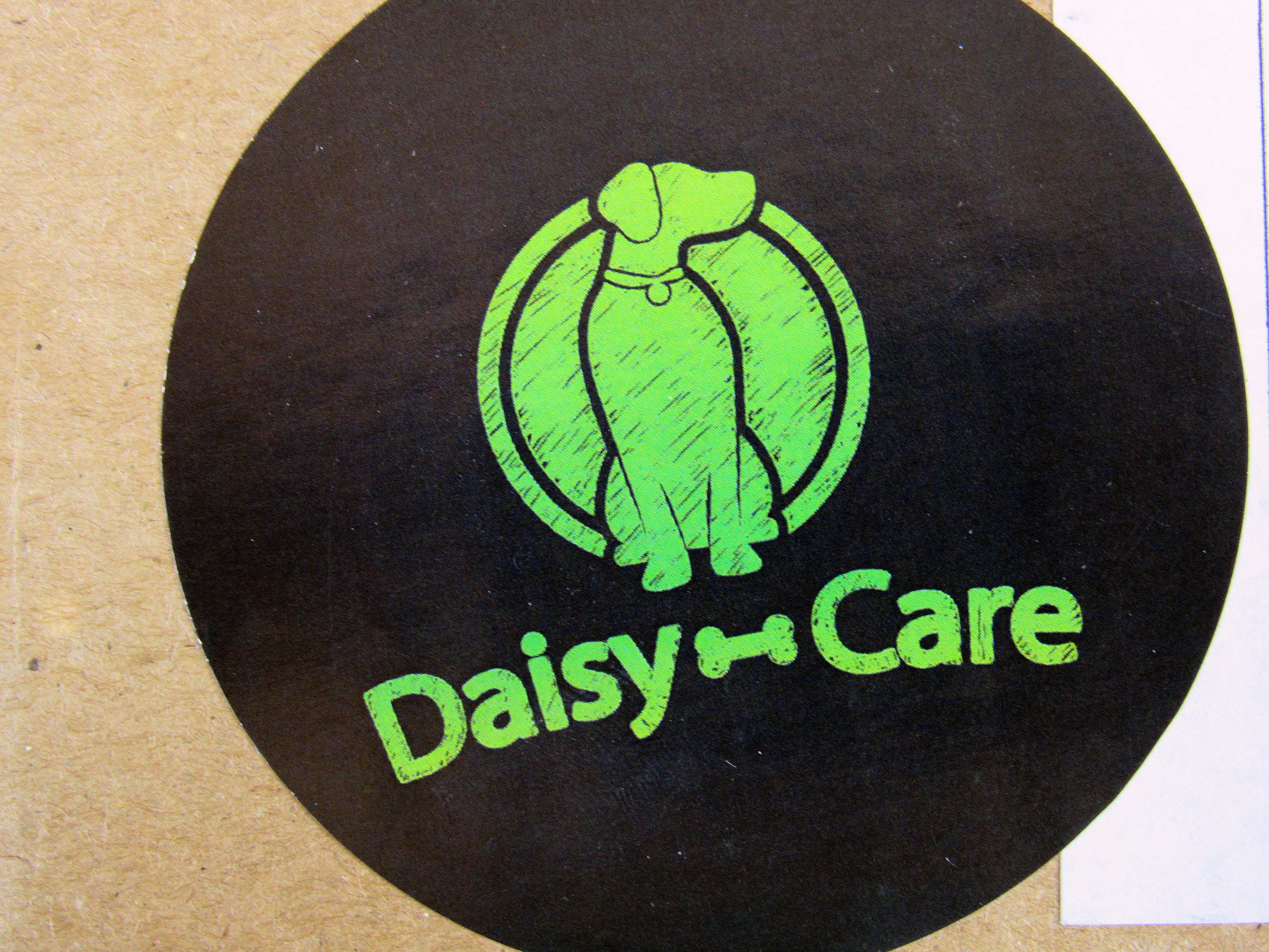 DaisyCare August 2017 Subscription Box Review & Coupon Large Dog Hello Subscription