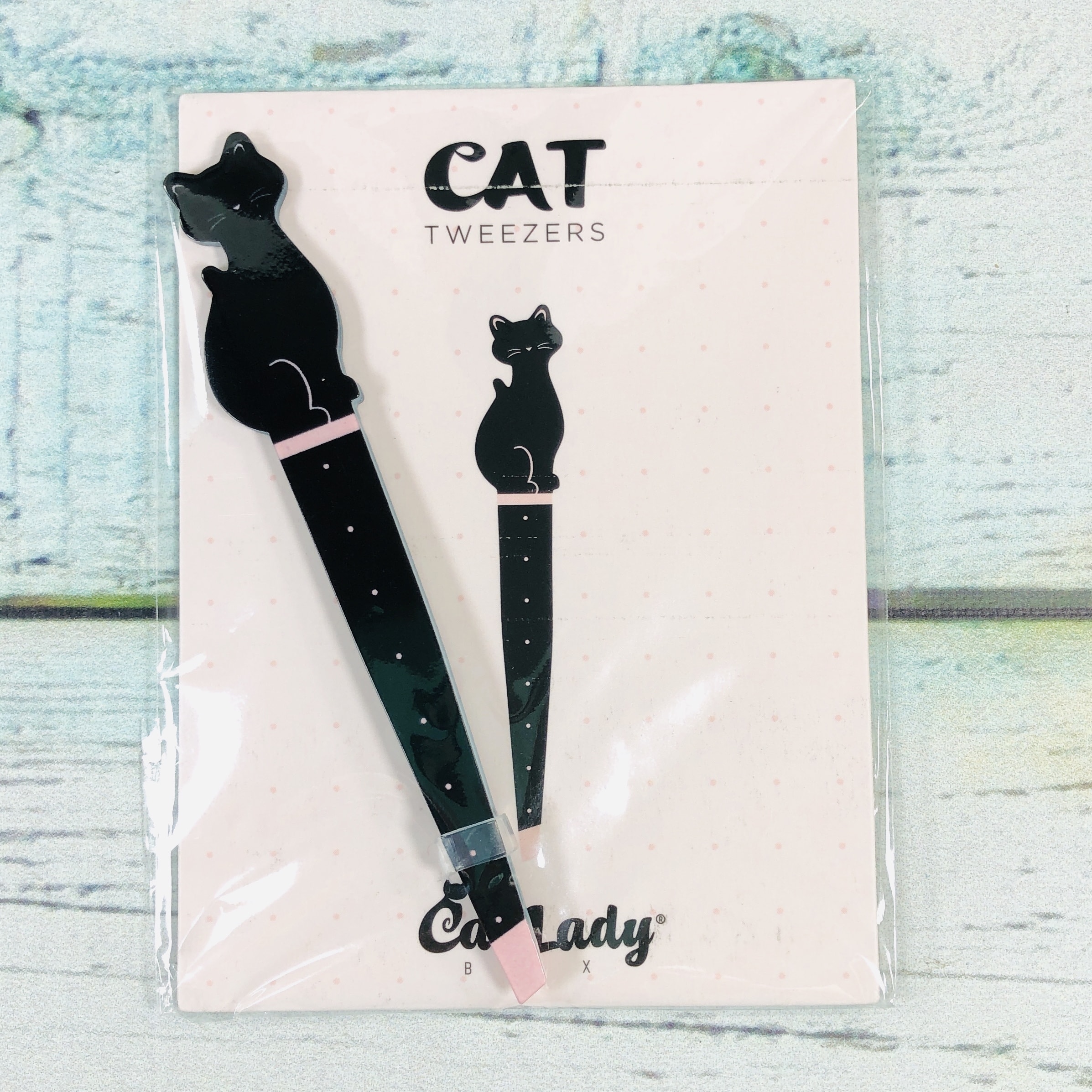 Cat Lady Box February 2019 Subscription Box Review + Coupon hello
