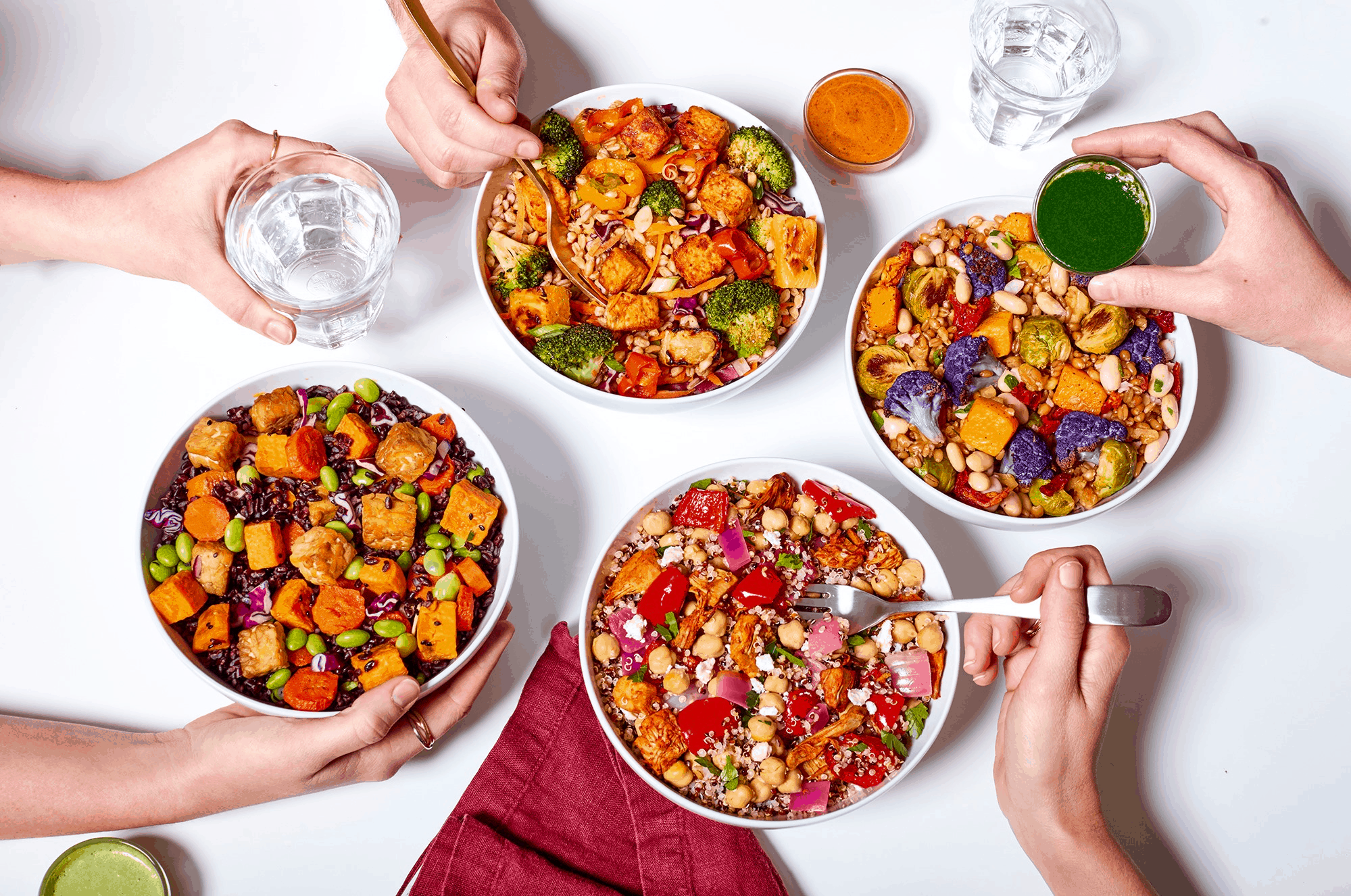 Mosaic Foods Review? Frozen Meal Subscription + Coupon! Hello