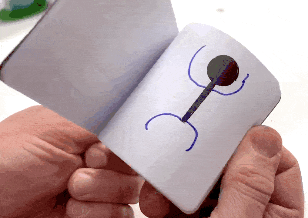 Kiwi Crate Review & Coupon AMAZING ANIMATION hello subscription