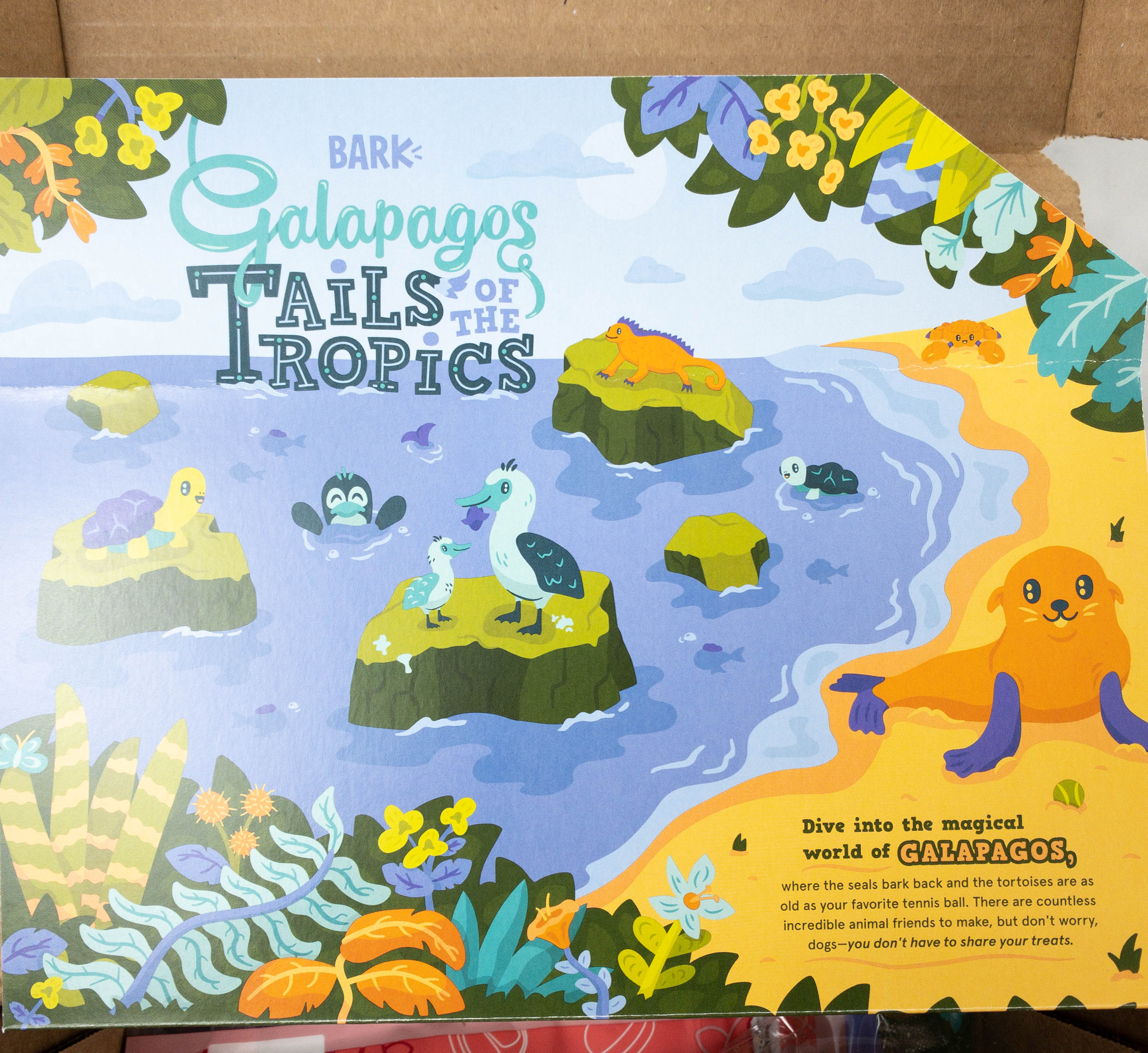 Barkbox Review + Coupon April 2021 Hello Subscription