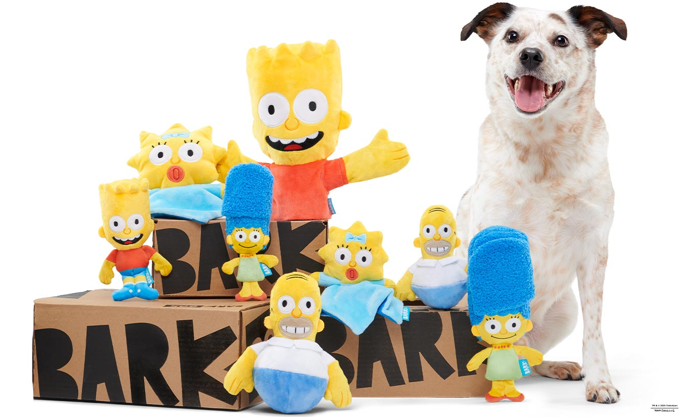 BarkBox & Super Chewer Coupon Double Your First Box for FREE + The Simpsons Special Edition Box
