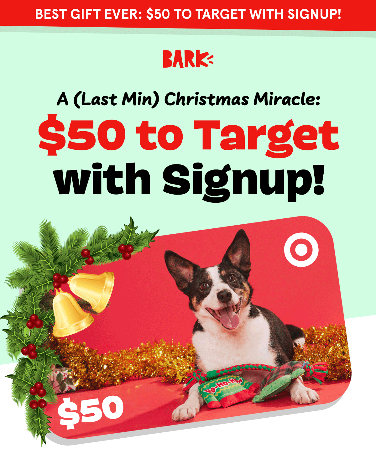 BarkBox & Super Chewer Coupon FREE 50 Target Gift Card With First Box