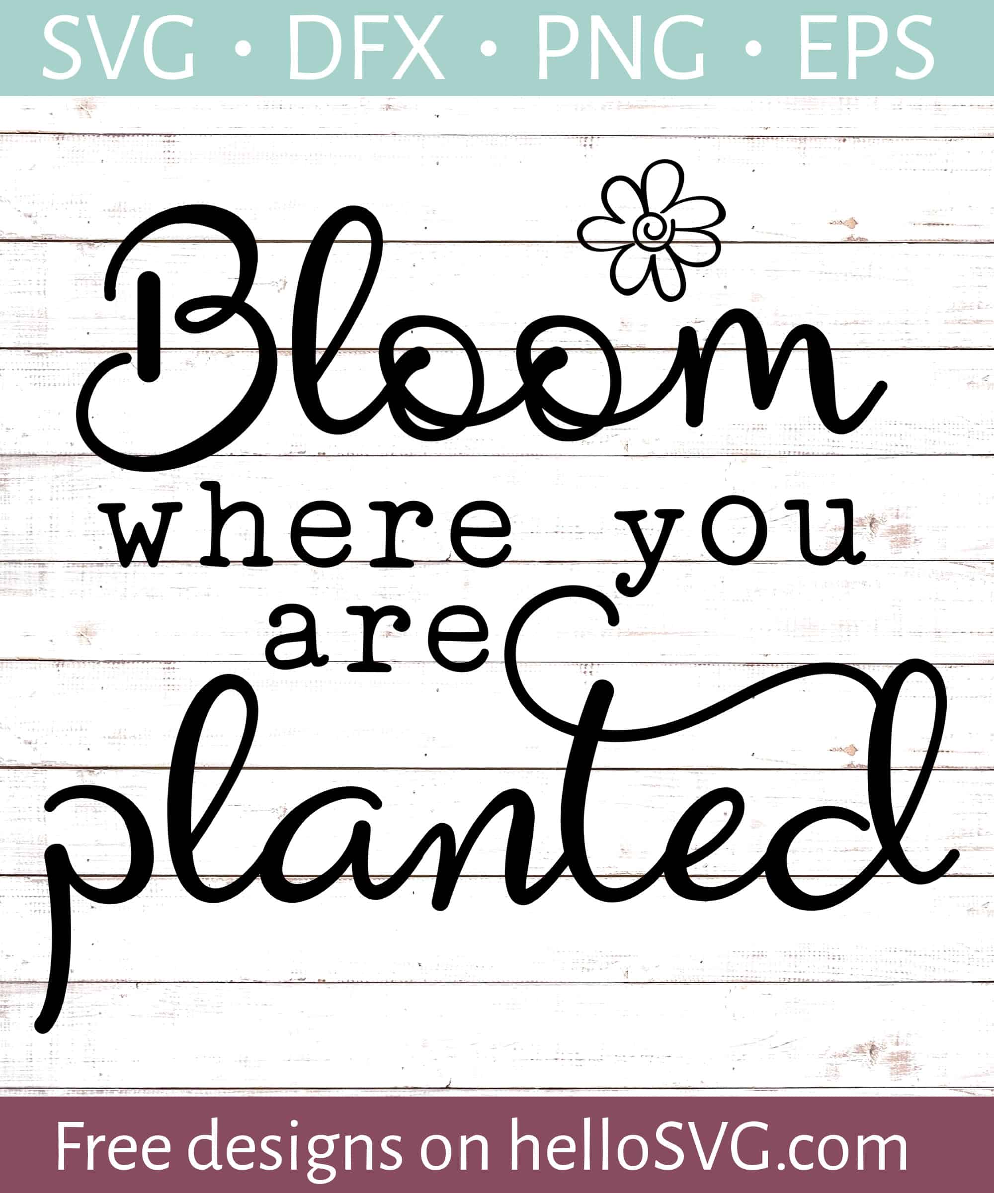 Paper, Party & Kids Bloom Where You Are Planted Spring Flower Svg Eps