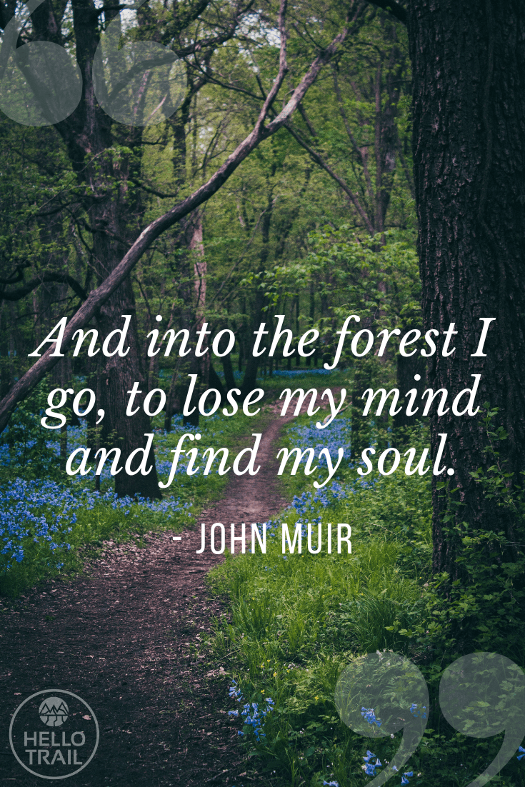 117 Inspirational Hiking Quotes for Outdoor Trail Lovers