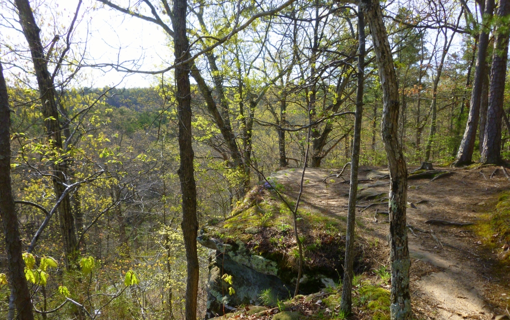 19 Best Hikes Near St. Louis (Less Than a 2 Hour Drive Away)