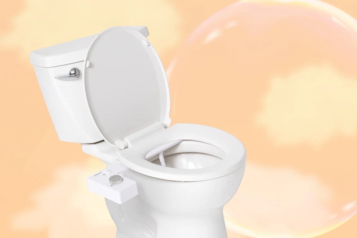 Are Bidets Sanitary? The Answer May Surprise You TUSHY