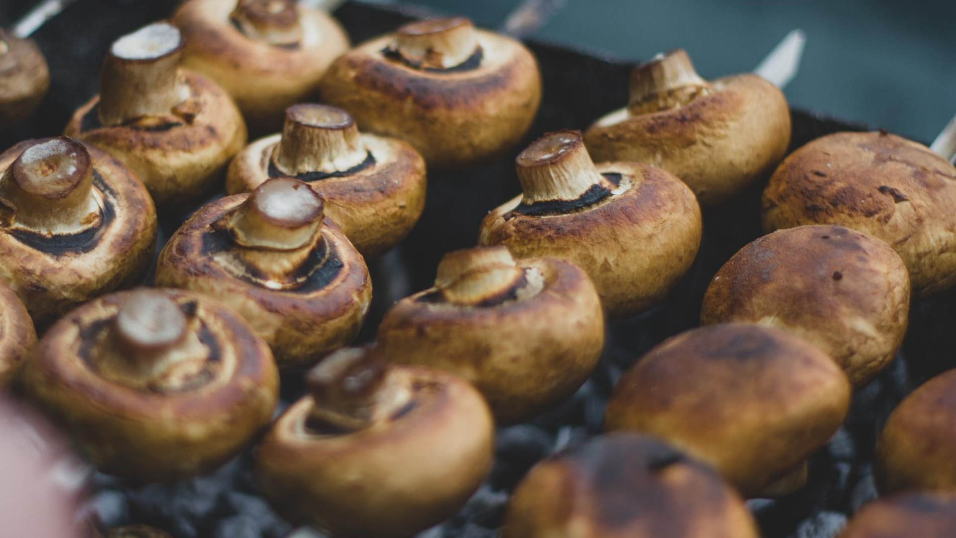 Champignons am Spieß grillen. 100 vegan Super lecker HelloVegan.de