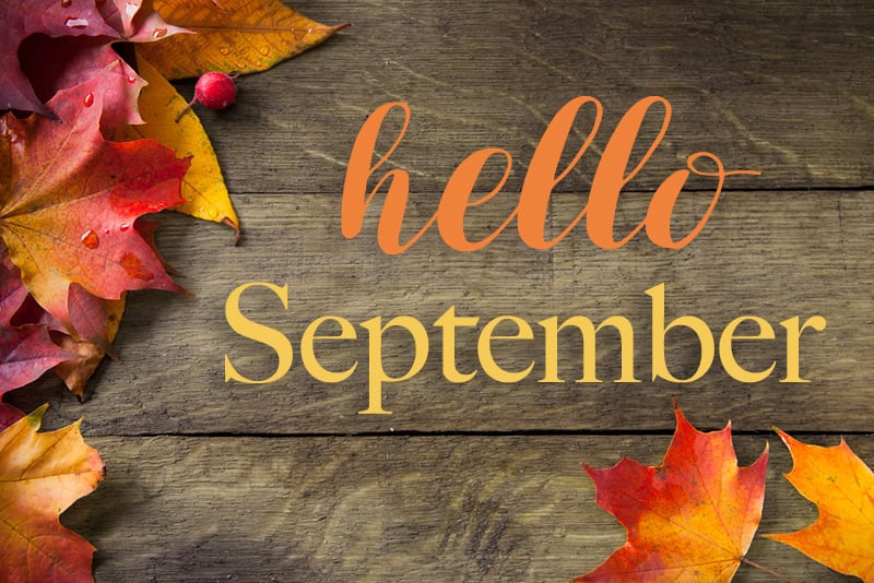 Hello September Leaves Autumn Hello Woodlands