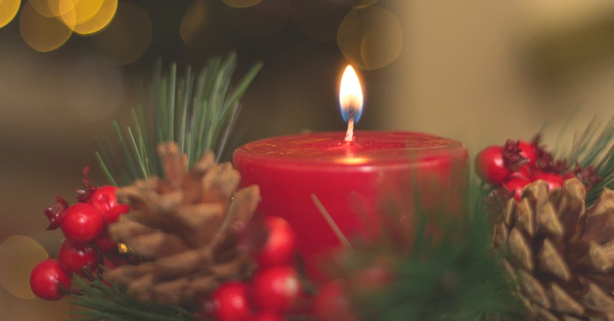 7 Tips to Reduce your indoor Air Pollution This Holiday Season Wynd