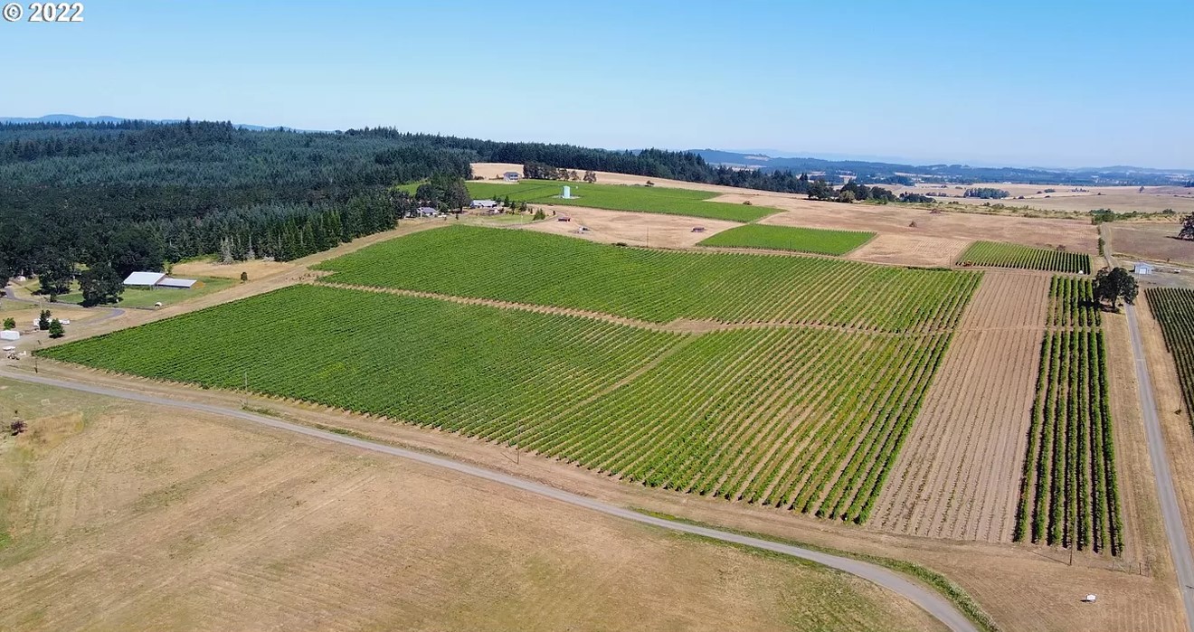 Vineyard For Sale Willamette Valley Oregon Home Farm and Grape Vineyard