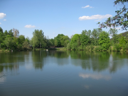 Fischweiher helmutpeter