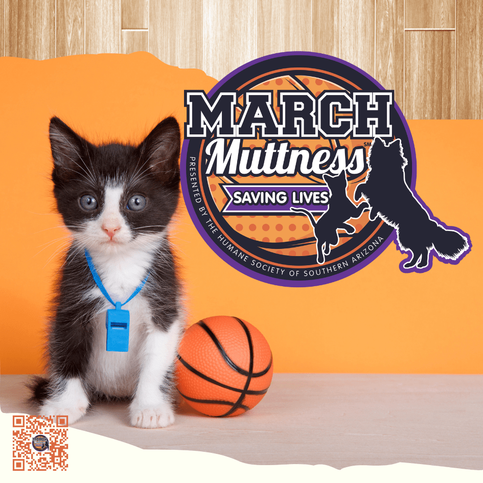 Helotes Humane Society Participates in March Muttness City of Helotes