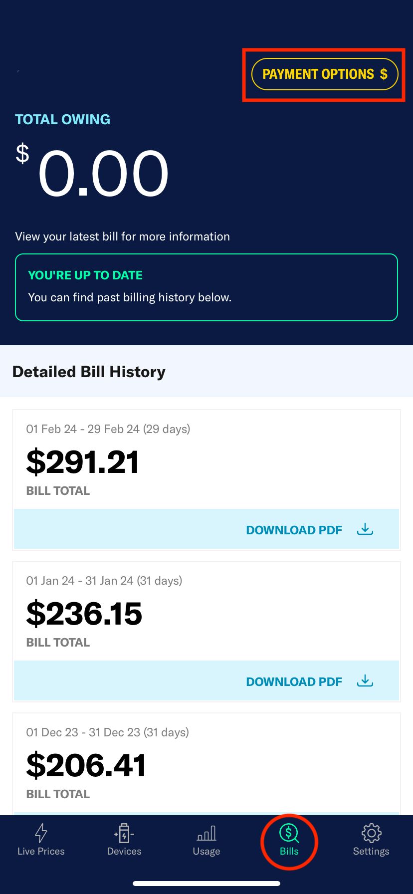 How do I find the BPAY number to pay a bill? Amber Electric