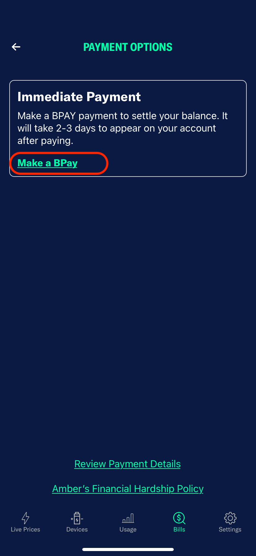 How do I find the BPAY number to pay a bill? Amber Electric