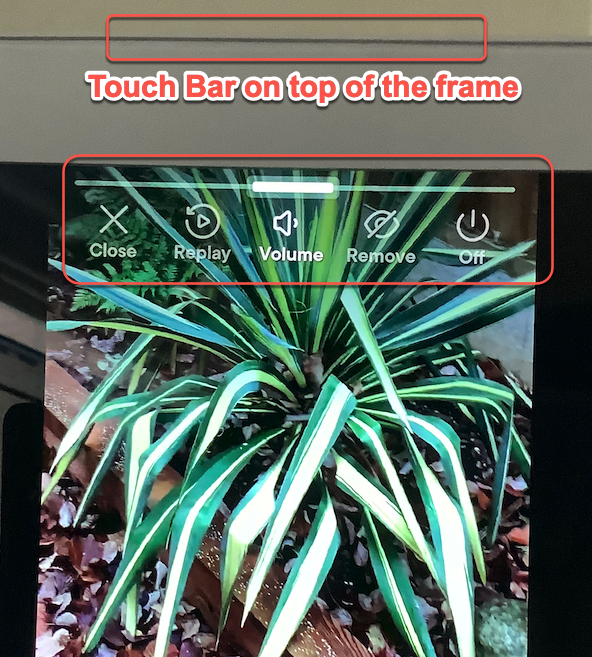 Enjoying Videos on your Aura Frame Aura Help Center