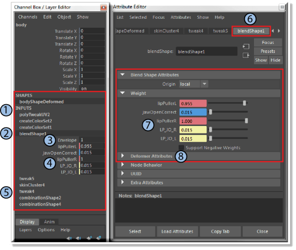 Blend shape nodes and attributes
