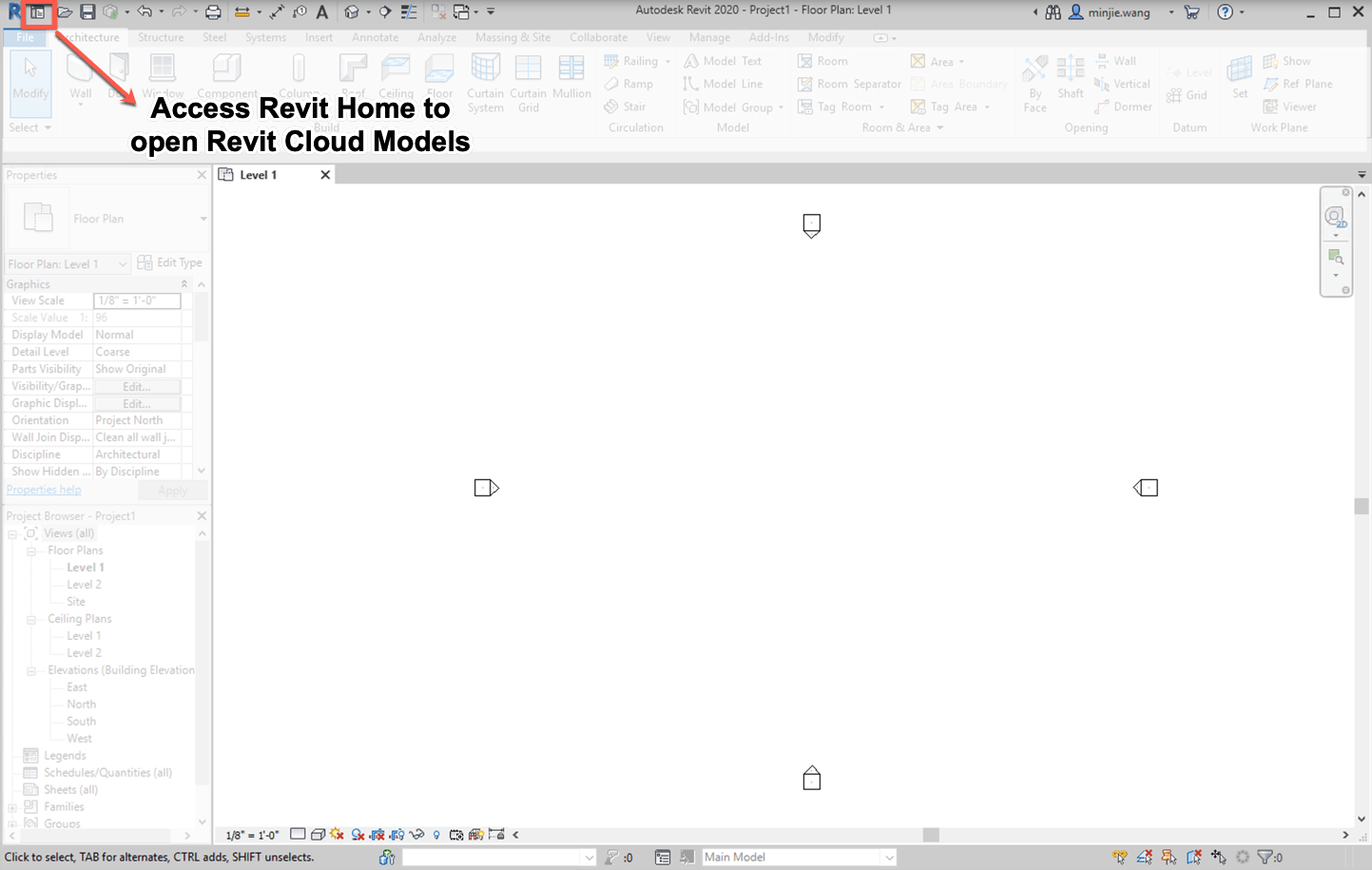 Using Revit Cloud Models