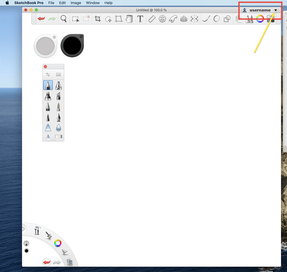 My Account menu missing from Sketchbook Pro