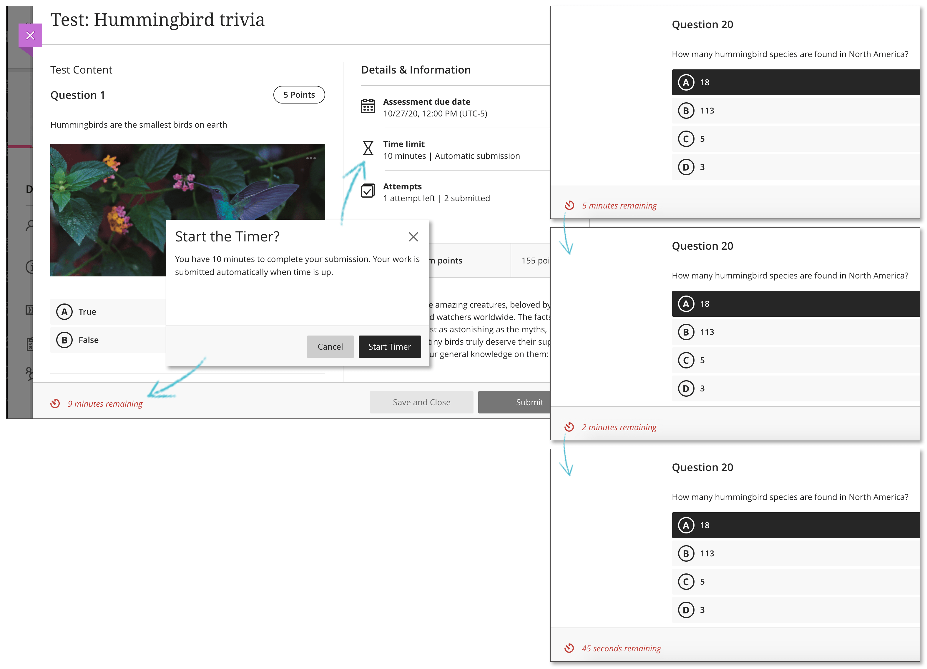 Updated Notes on My Mac and Cannot Upload Documents on Blackboard