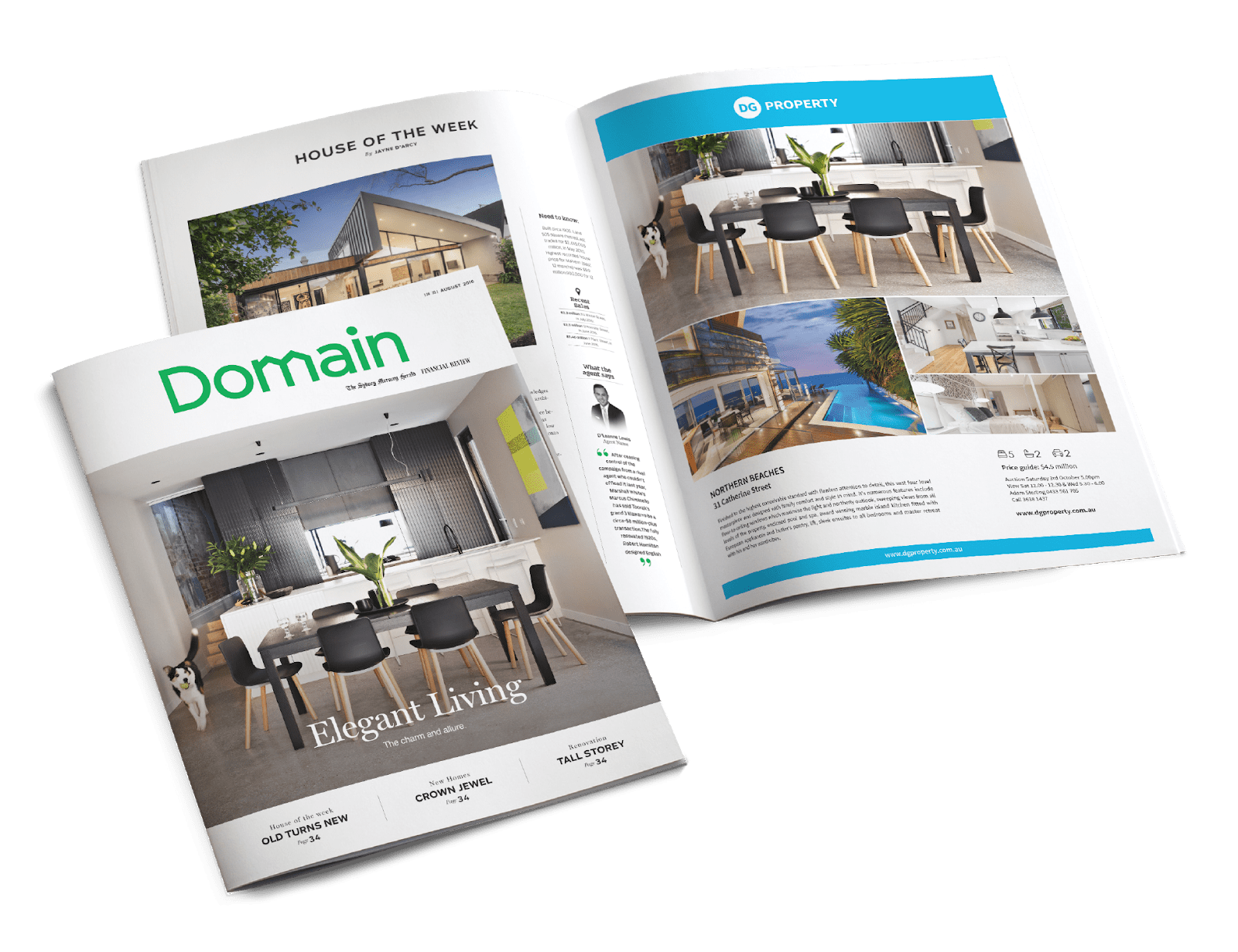 Domain Prestige and Domain Magazine Domain