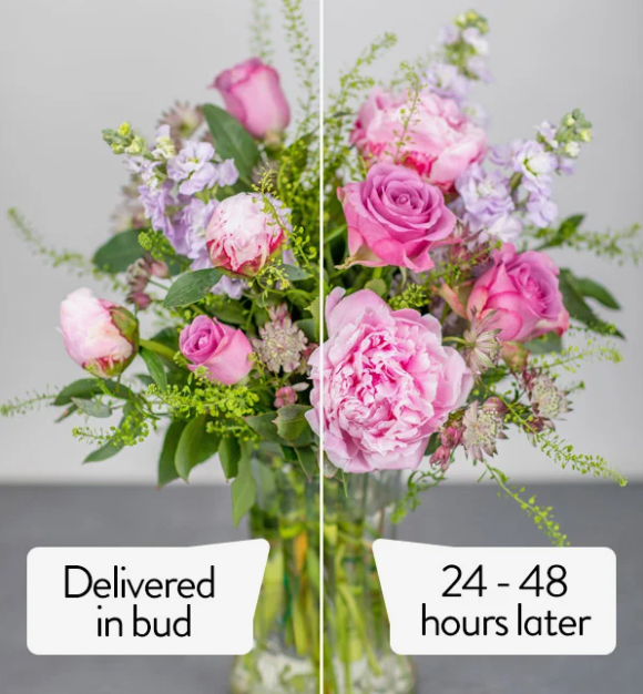 What does delivered in bud mean? Eflorist