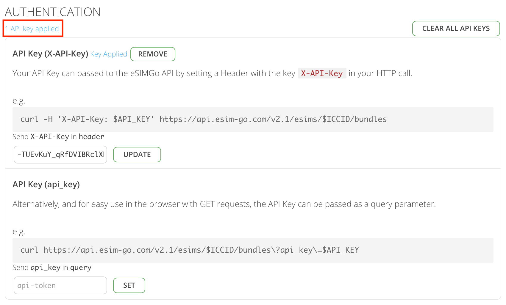 Locate And Input Your API Key eSIM Go