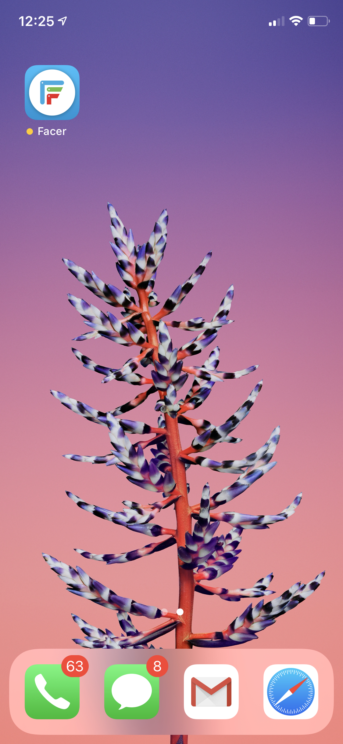 How to use Facer with Apple Watch? How can we help?