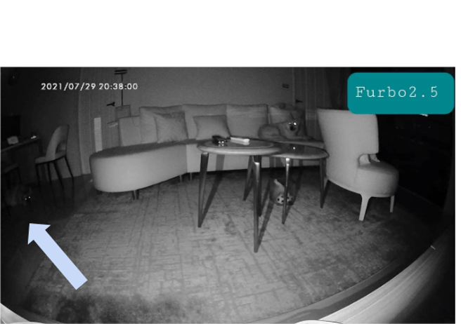 Furbo Dog Camera and New Furbo 360° Dog Camera Comparison – Furbo Help