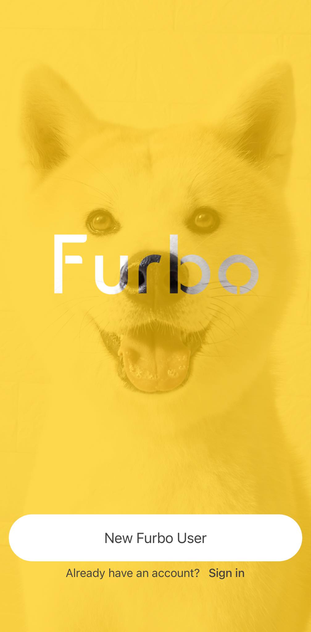 What Should I Do If I Change My Phone? Furbo Help Center