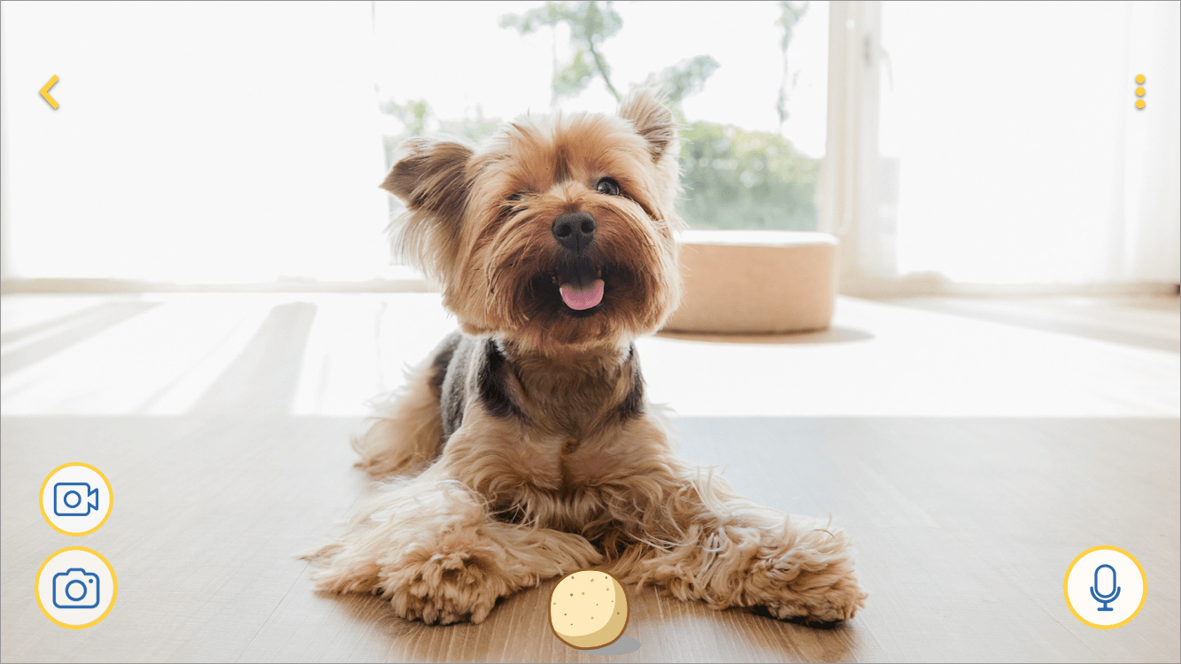 Talk to Your Dog on Mini – Furbo Help Center