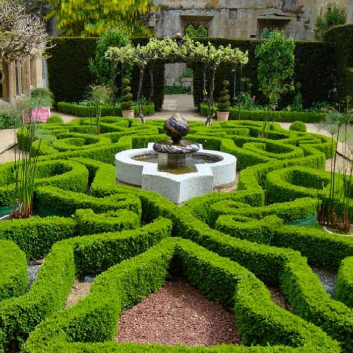 Formal garden style guide and the best 12 plants for a formal garden