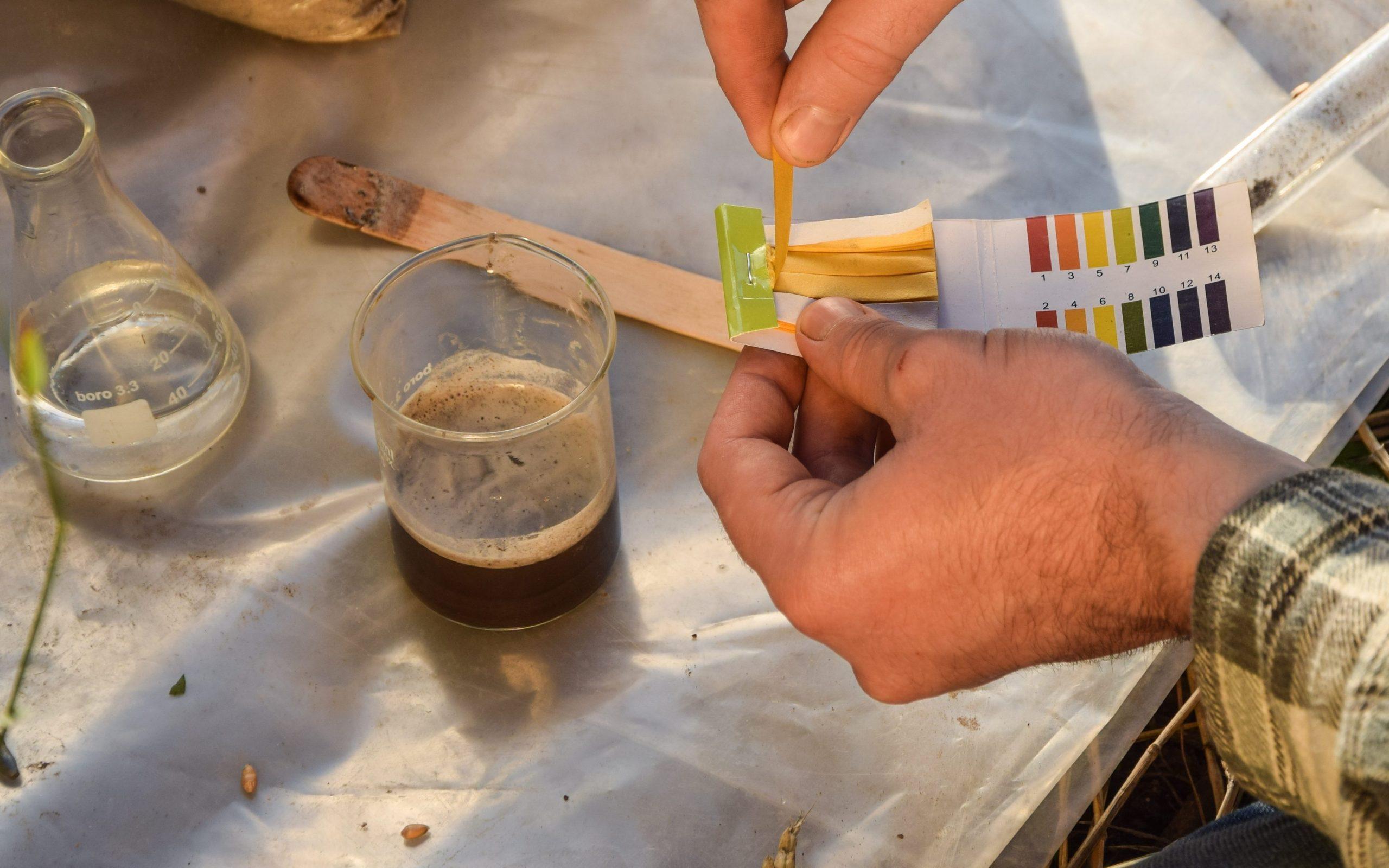 Soil Types Understanding pH & Testing Soils