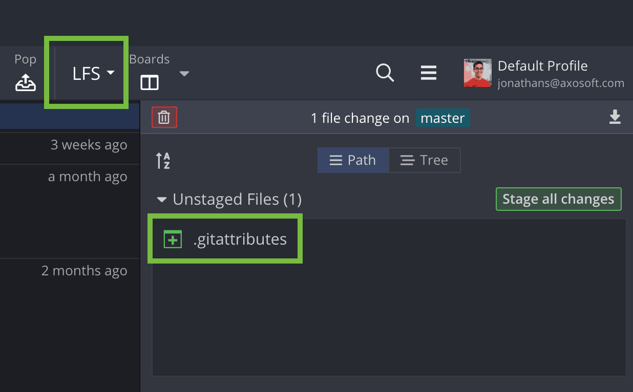 Git LFS in GitKraken Client Store Binary Files