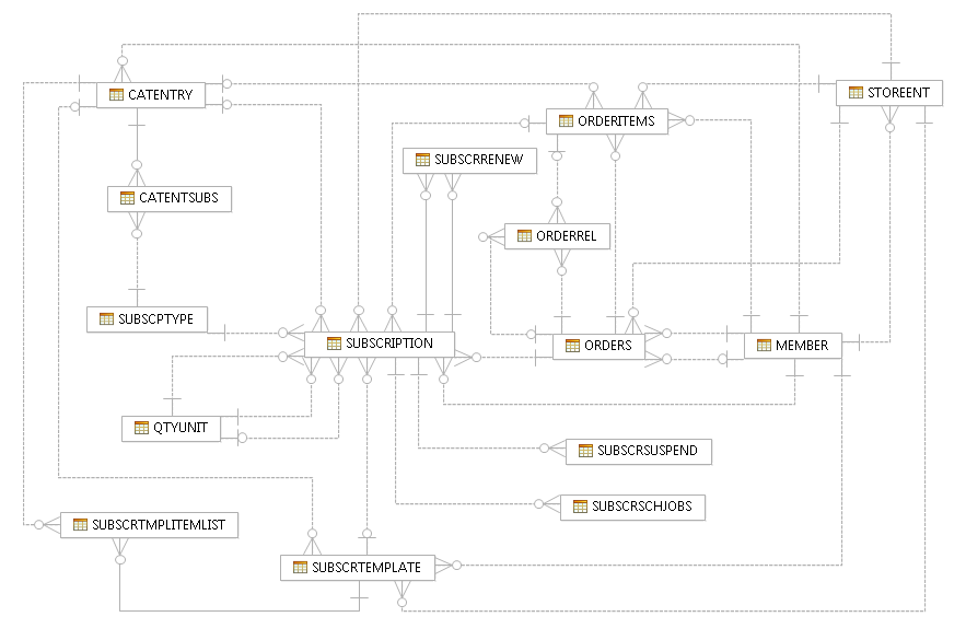 Subscriptions and recurring orders data model