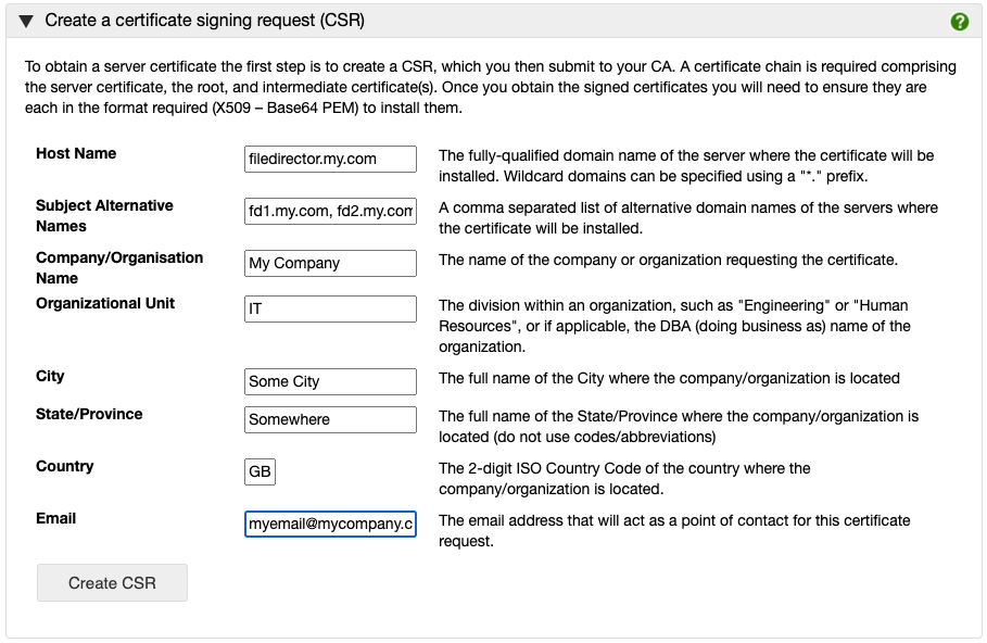Example Public CA certificate