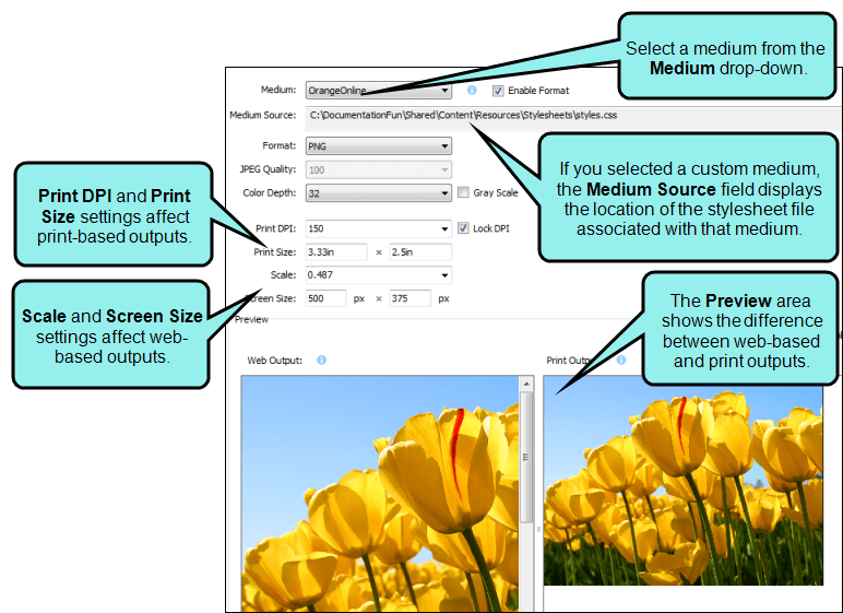 Setting the Print DPI for an Image