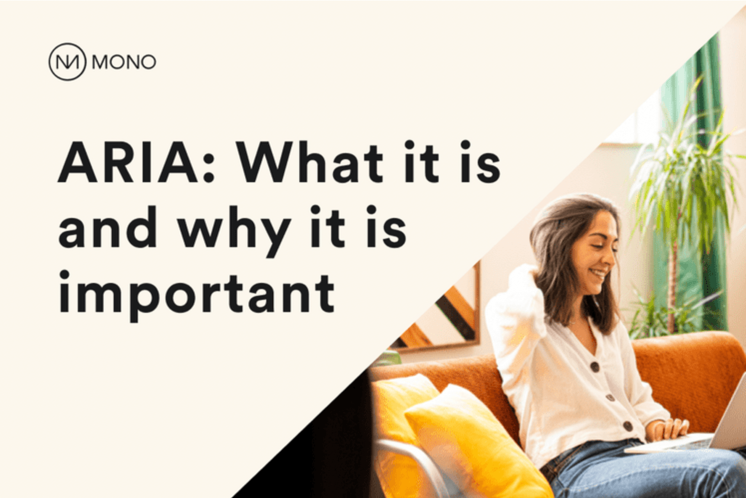 What is ARIA and why is it important? Mono Help Center