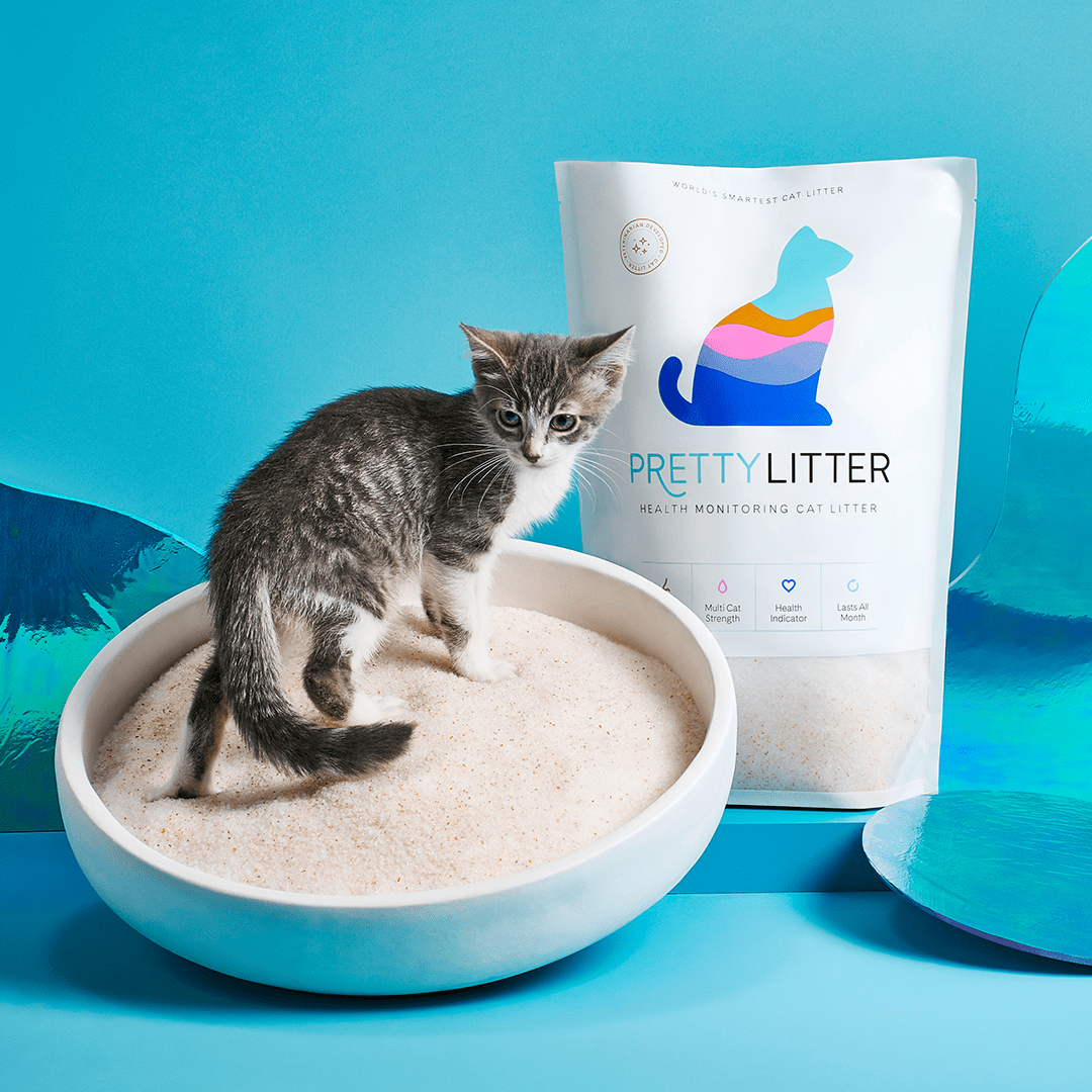 Where can I buy PrettyLitter? Help PrettyLitter