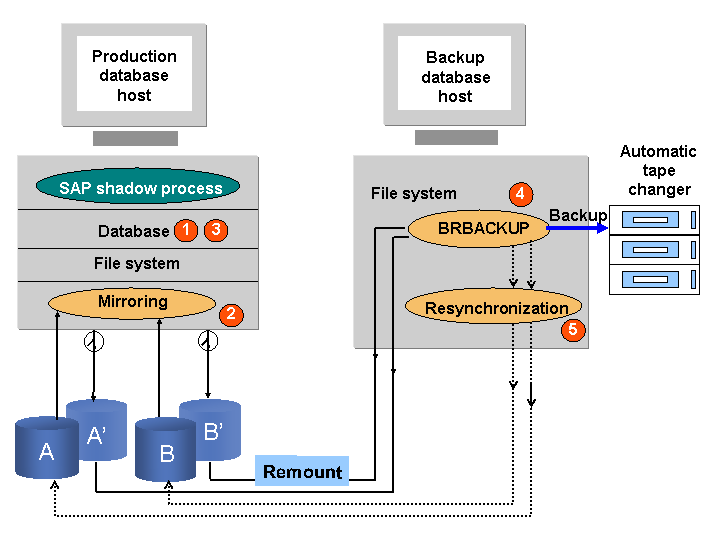Split Mirror Backup SAP Documentation