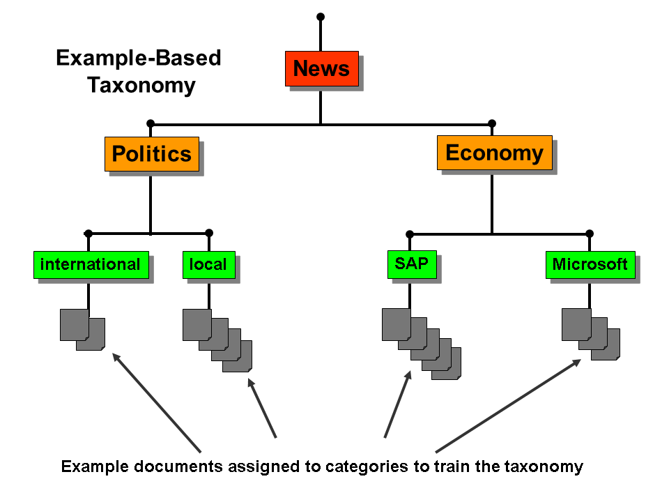 Decoding Taxonomy Organizing Information in 2024