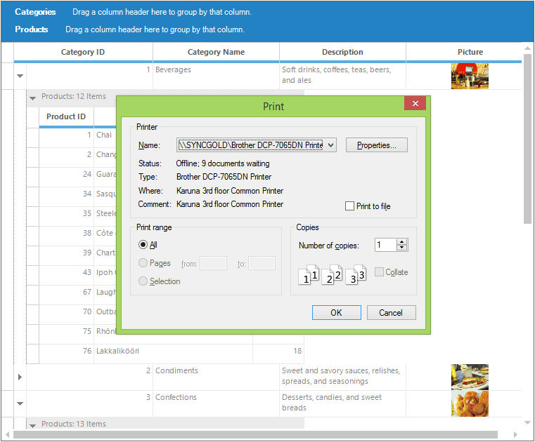 Printing in Windows Forms GridGrouping control Syncfusion