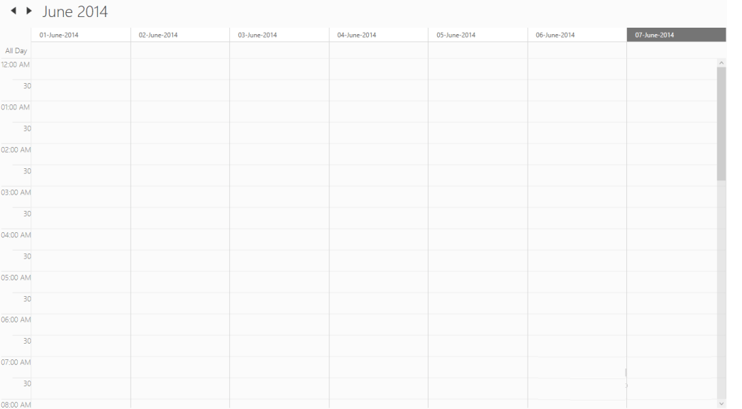 Custom Date Format SfSchedule Wpf Syncfusion
